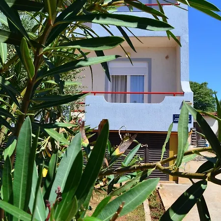 Apartment Goga