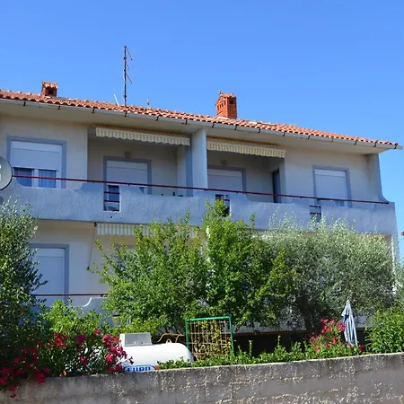 Apartment Goga