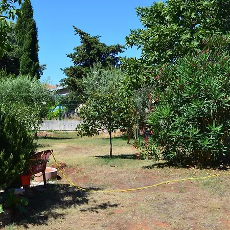 Goga Apartment